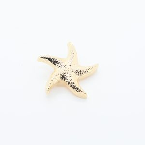 Broche en forme d'étoile de mer