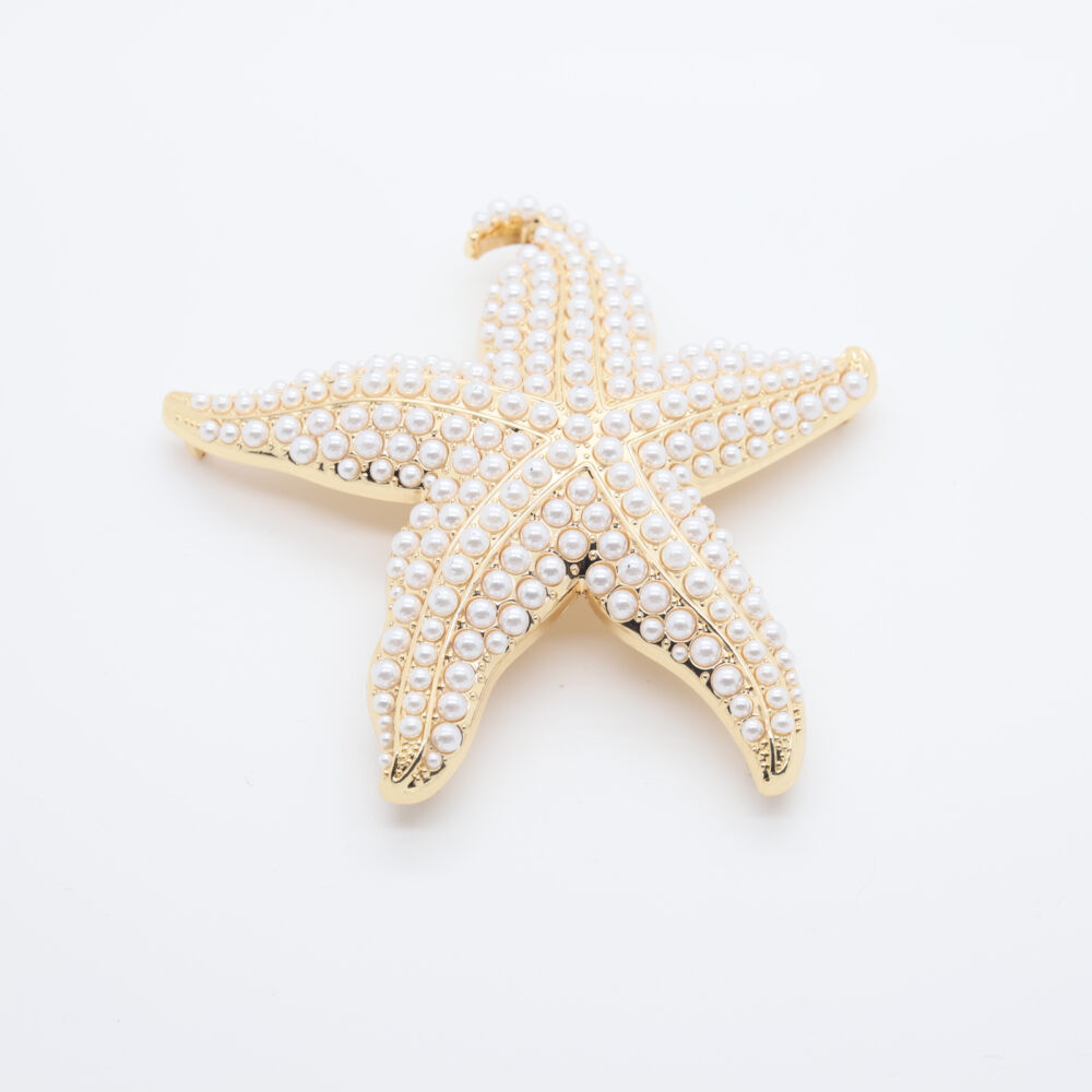 Large beaded star brooch