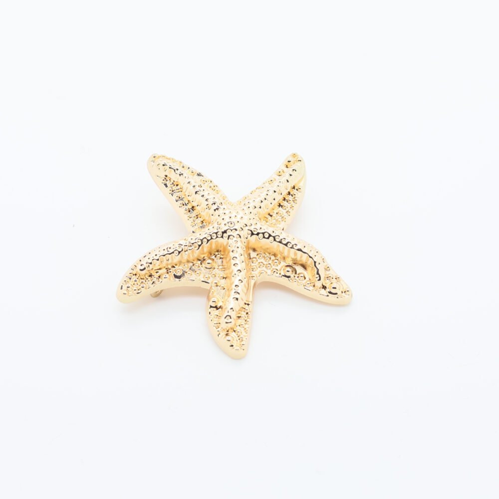 Broche en métal doré en forme d’étoile