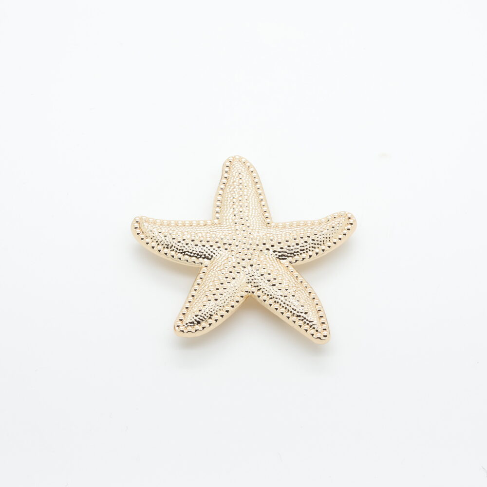 Golden starfish granite passerby